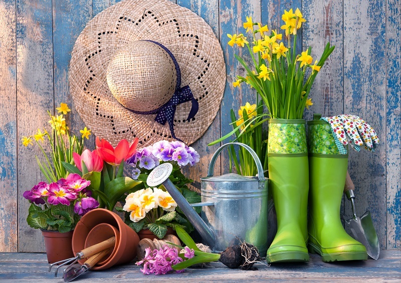 flowers / lasting flowers