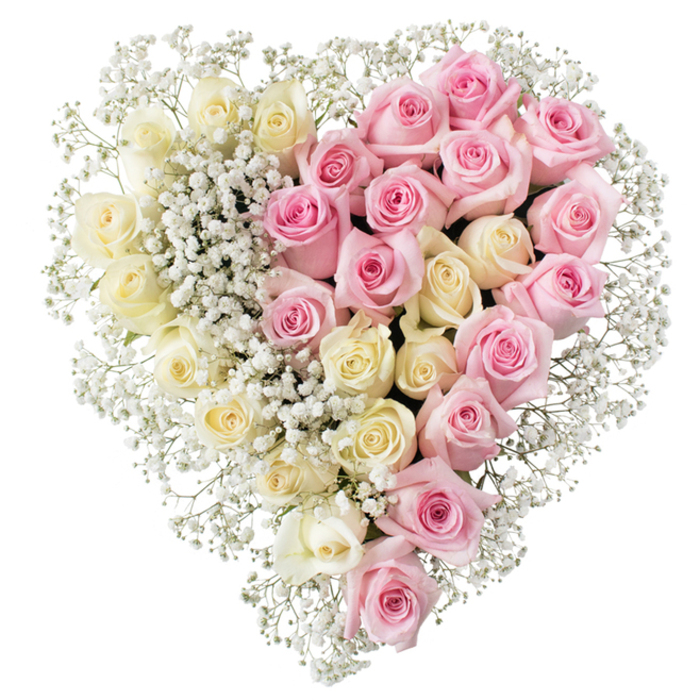 Against a clear white background, a large heart-shaped funeral tribute is captured in precise detail, the kind of piece you might see resting near the front of a chapel in Sands End during a farewell service. The heart is sculpted entirely from fresh roses and feathery sprays of baby's breath, arranged with such care that the outline is smooth and perfectly symmetrical. On the left half, creamy white and very pale yellow roses are packed closely together, each bloom fully opened so that its velvety petals form soft, rounded rosettes. On the right half, the same fullness is repeated in a blush of medium pink roses, their petals gently cupped and slightly curled at the tips, giving a feeling of warmth and affection. Tiny white gypsophila flowers are threaded throughout both sides of the heart, nestling into the gaps between roses and forming a delicate border that frames the shape like a fine, misty halo. The gypsophila is especially noticeable along the centre line, where the two colours meet, subtly blending the creamy tones into the pink like two lives and stories intertwined. The lighting is bright and even, making the flowers look freshly arranged, as if a local Sands End florist has just finished placing the final stem before sending it out for same-day delivery to a memorial gathering. The overall impression is one of gentle romance, remembrance, and deep respect, a floral tribute that quietly expresses love, gratitude, and an enduring connection to the person being honoured.