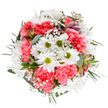 This arrangement is an expressive ode to the vibrant spirit of Sands End, crafted with devotion and a keen eye for the neighborhood's charm. At its center, dazzling white daisies with zesty lime centers radiate cheerful energy, surrounded by clouds of coral-pink carnations whose ruffled petals add both depth and playful movement. Airy gypsophila dances across the surface, imparting a weightless elegance reminiscent of early spring mornings near Imperial Park. Sleek eucalyptus leaves with their cool, silvery green provide a gentle contrast and a brisk scent, while the inclusion of slim buds-hinting at alstroemeria-introduces subtle hues of purple and pink, suggesting the promise of tomorrow's blooms. The bouquet's harmonious round shape and expertly balanced palette evoke a sense of tranquility and joyous celebration, making it a perfect centerpiece for family gatherings, special occasions, or as a thoughtful gesture delivered to brighten someone's day in Sands End. The artistry is unmistakable, with each element chosen for freshness, beauty, and the power to uplift, mirroring the lively yet peaceful character of this part of southwest London.