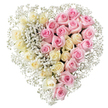 A generous heart-shaped arrangement of roses and baby's breath is shown in sharp focus against a pure white background, creating a calm, almost chapel-like atmosphere. The heart is split cleanly down the centre, almost like two tender emotions held side by side. On the left, a dense cluster of creamy white and pale lemon-yellow roses fills the space completely, their petals layered and velvety, with each bloom touching the next to form a seamless surface. On the right, the same close, cushion-like structure is created from soft, medium pink roses, whose slightly curled petals add a sense of gentle movement and warmth. Throughout both halves, and especially along the central divide and outer edge, fine sprays of white gypsophila, or baby's breath, weave in and out of the roses. These tiny blossoms create a light, airy texture, softening the lines of the heart and giving it the appearance of being wrapped in a cloud of white. The light is bright and neutral, with no harsh shadows, highlighting the freshness of the petals as though the piece has just been finished in a quiet workshop near the riverside in Sands End, ready to be carried to a family funeral or memorial. This heart-shaped design feels deeply symbolic: the creamy tones suggesting peace and farewell, the pinks speaking of affection and cherished memories. It is the kind of thoughtful tribute a local florist might recommend when a family wants a floral heart that is both romantic and respectful, capturing love that lasts beyond goodbye.
